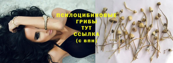 тгк Новозыбков