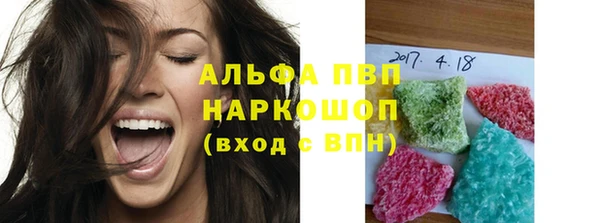 тгк Новозыбков