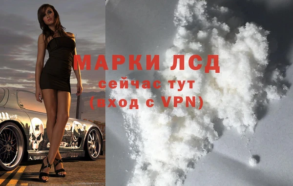 тгк Новозыбков