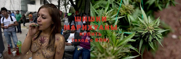 тгк Новозыбков