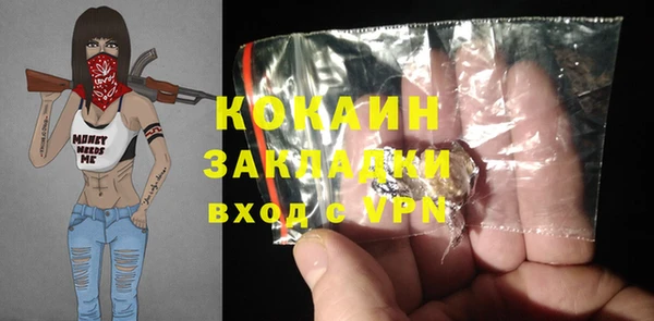 тгк Новозыбков