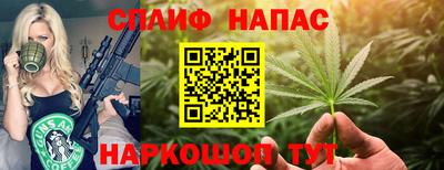 прущие грибы Канаш