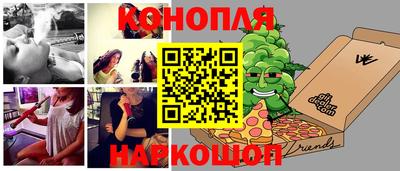 прущие грибы Канаш