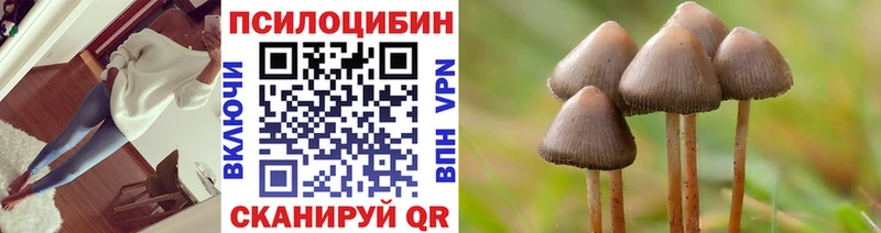 где можно купить   Чебоксары  Галлюциногенные грибы прущие грибы 