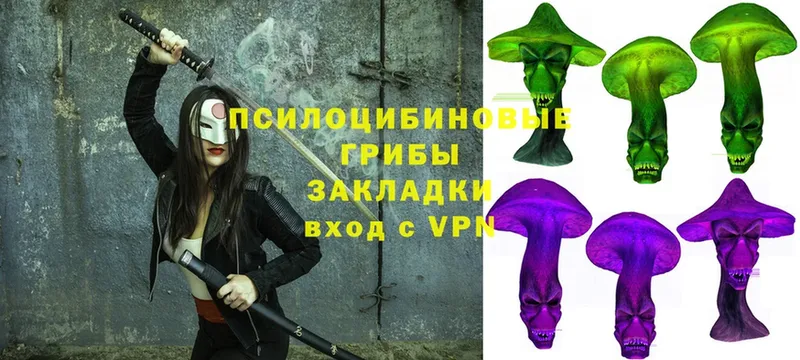 Псилоцибиновые грибы MAGIC MUSHROOMS  Чебоксары 