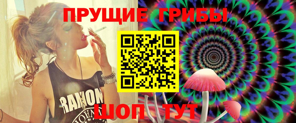 Псилоцибиновые грибы MAGIC MUSHROOMS  даркнет сайт  Галлюциногенные грибы Psilocybine cubensis  Чебоксары  Вход с VPN 