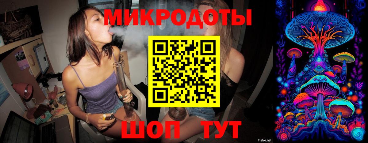 Псилоцибиновые грибы Psilocybine cubensis Чебоксары